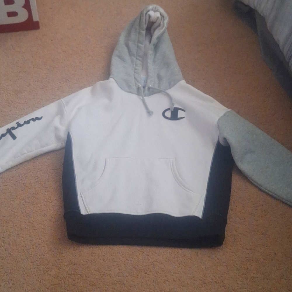 Champion hoodie cropped